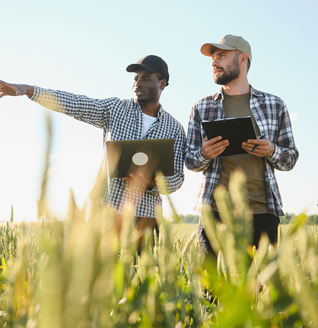 GACI - Gestion agricole